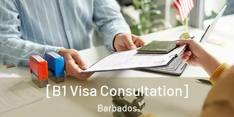  [B1 Visa Consultation] Barbados